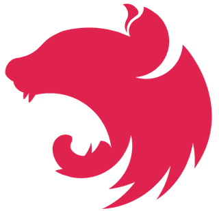 NestJS 유효성 검사 동작원리 : 왜 interface 대신 class를 사용할까?
